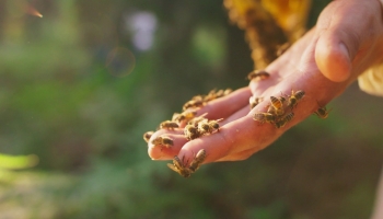 thumbimg