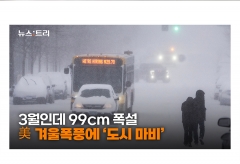 [영상] 3월인데 또 '겨울폭풍' 강타한 美…폭설·한파·토네이도 '동시발생'